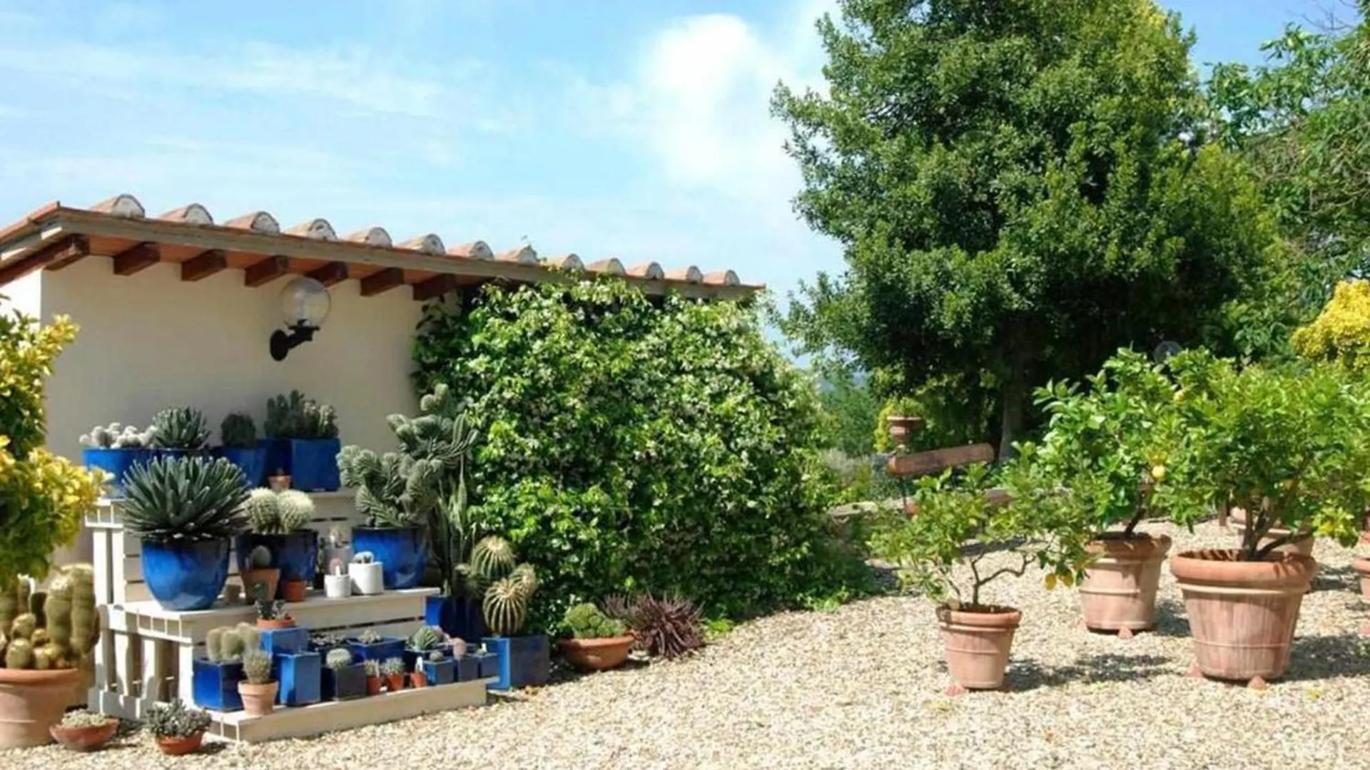 Apartment Ferienwohnung Il Frantoio Delle Grazie Florenz