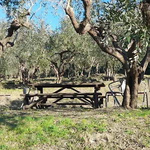 https://agriturismo-cele.hotelitalianriviera.com